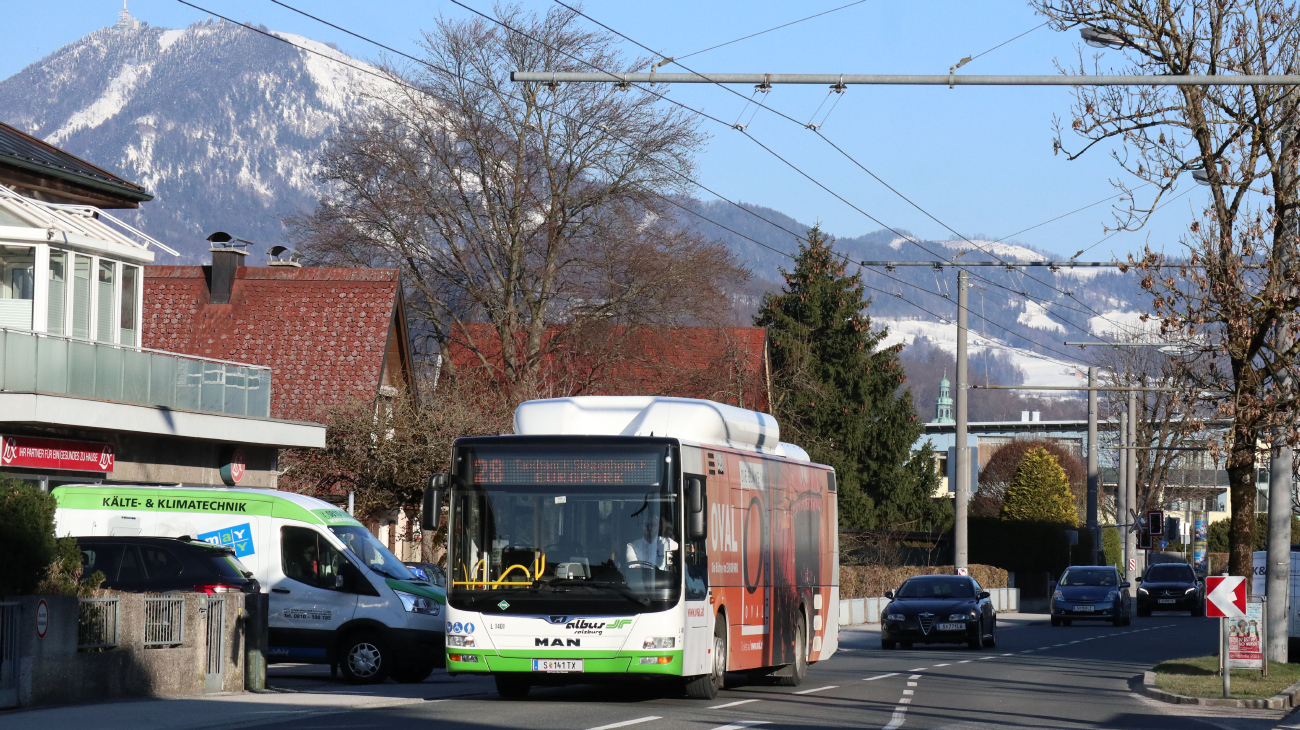Salzburg, MAN A21 Lion's City NL313 CNG # L1401