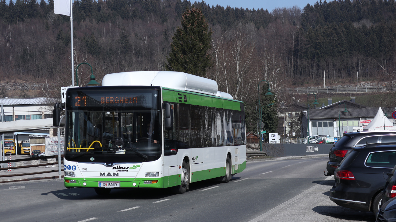 Salzburg, MAN A21 Lion's City NL313 CNG # L1560