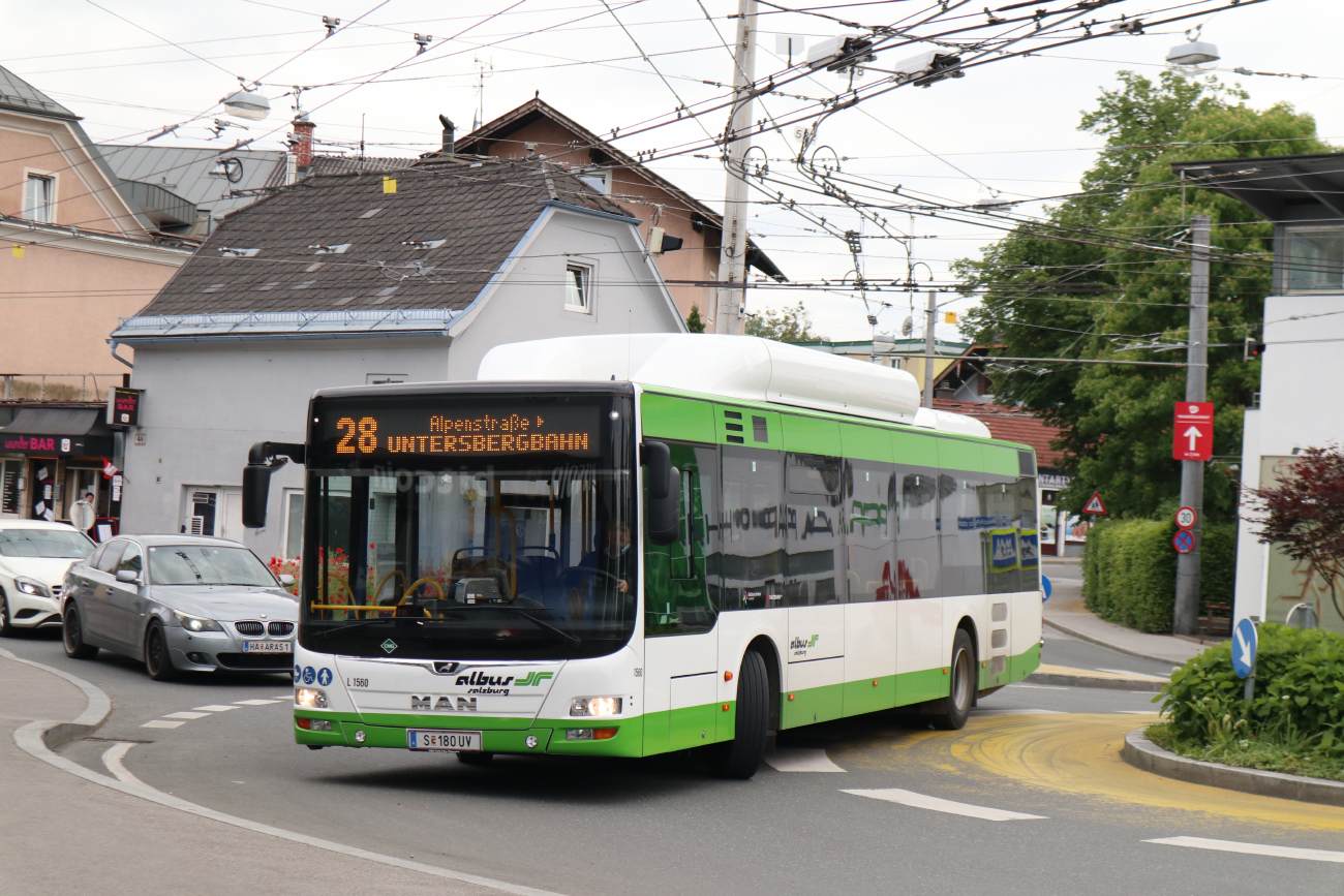 Salzburg, MAN A21 Lion's City NL313 CNG # L1560