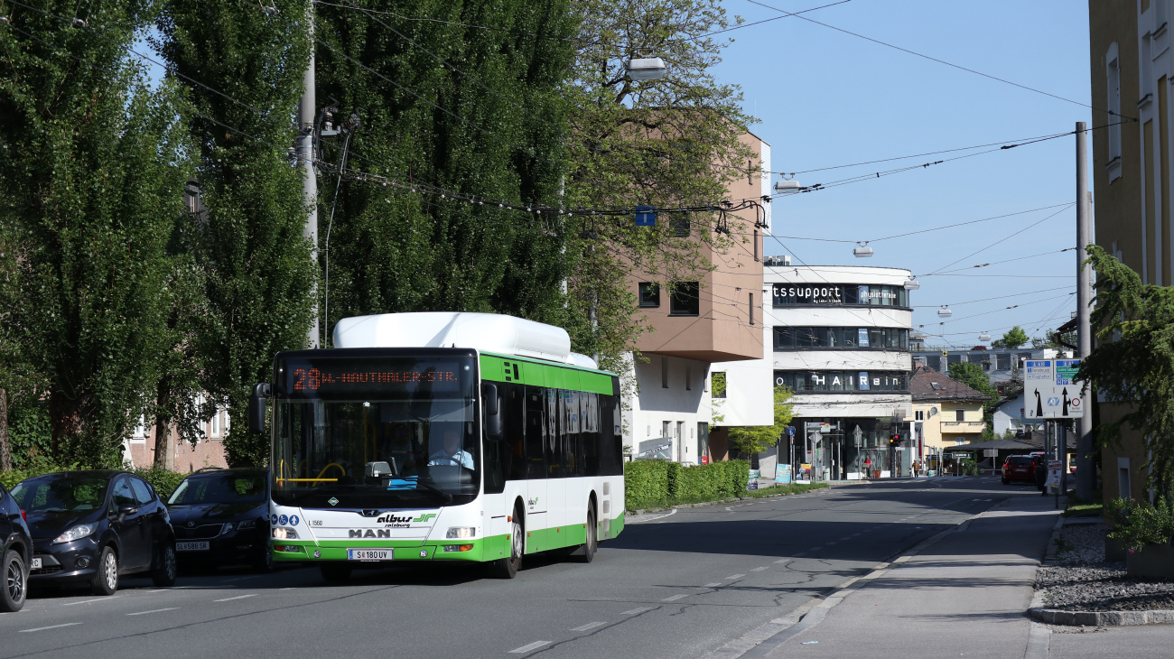 Salzburg, MAN A21 Lion's City NL313 CNG # L1560