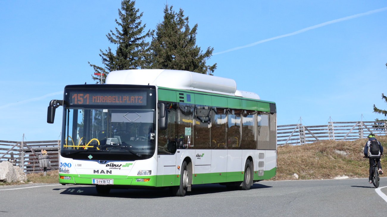 Salzburg, MAN A21 Lion's City NL313 CNG # L1588