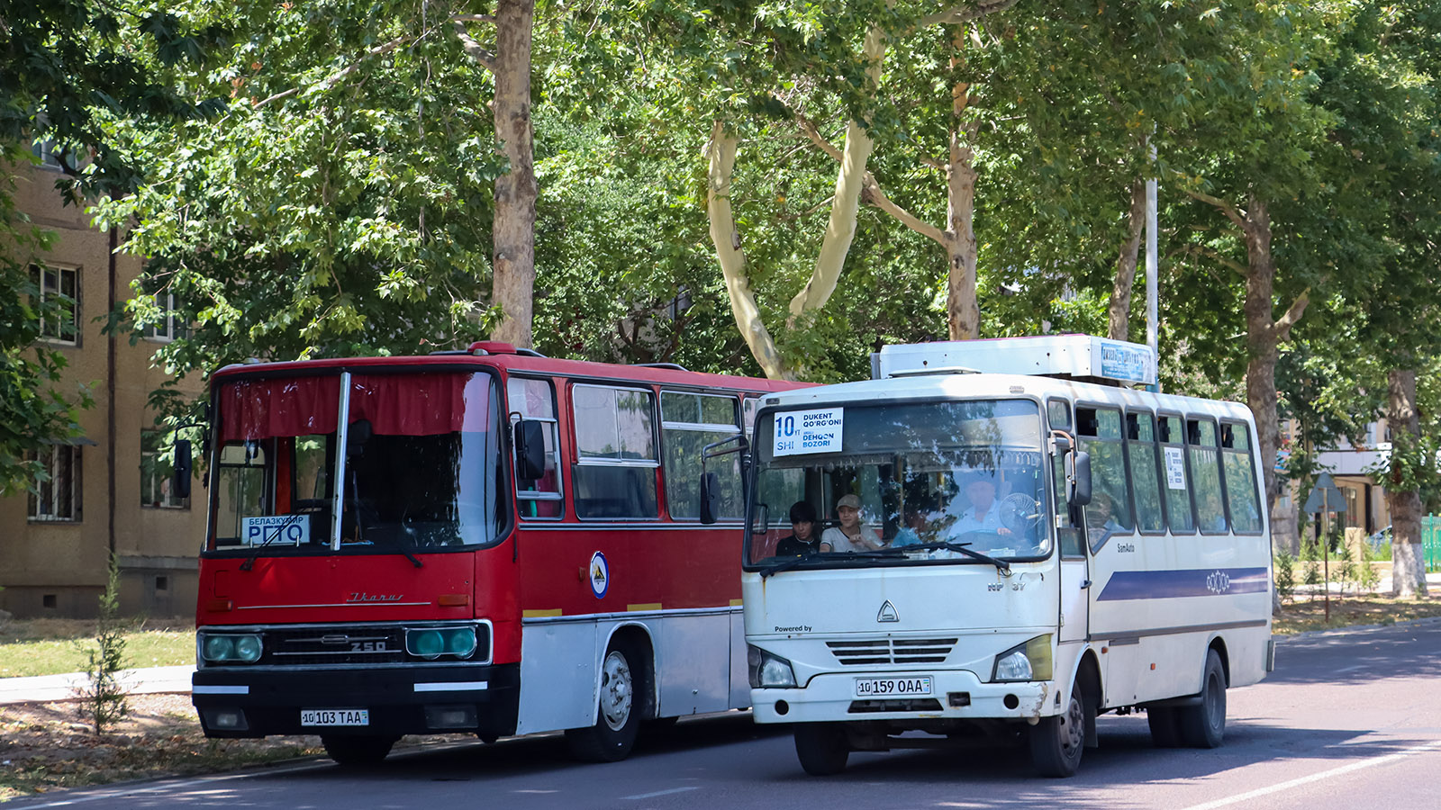 Ангрен, SAZ NP37 # 10 159 OAA