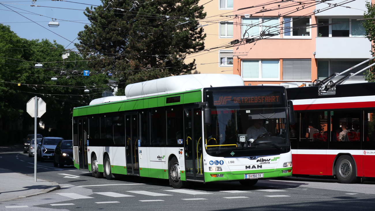 Salzburg, MAN A26 Lion's City LL NL313-15 CNG № L1640