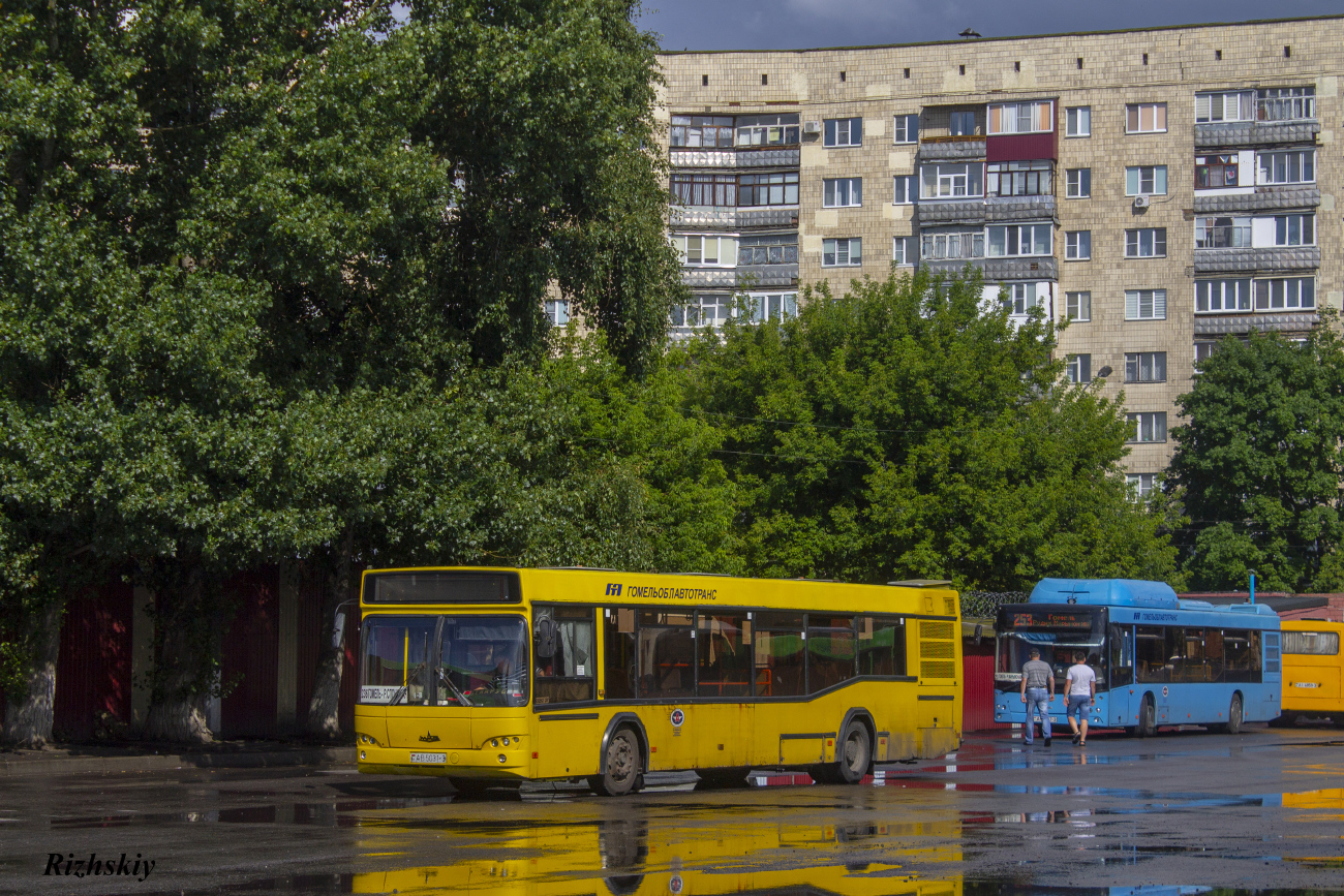 Gomel, MAZ-103.465 # 036633