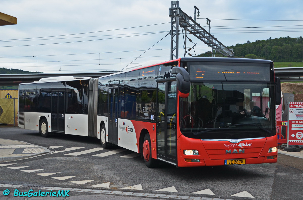 Luxembourg-ville, MAN A23 Lion's City G NG363 # 2075