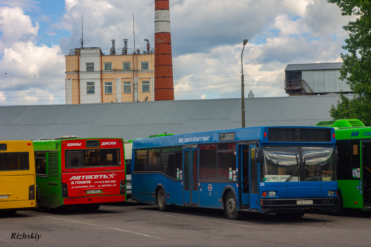 Gomel, MAZ-103.С62 # 036358; Gomel, MAZ-103.465 # 036481