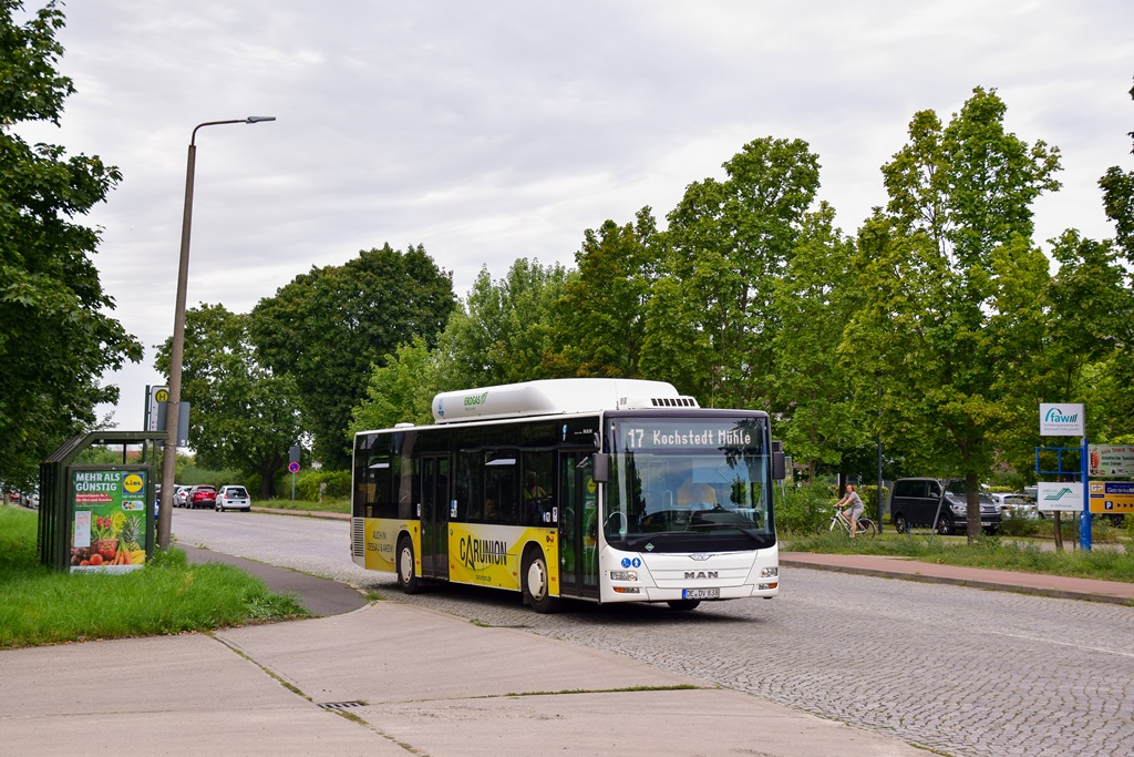 Dessau-Roßlau, MAN A21 Lion's City NL273 CNG # 838