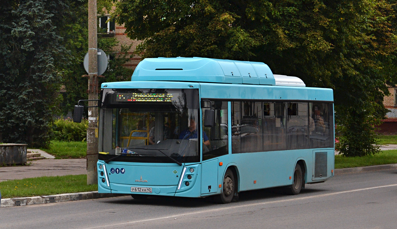 Obninsk, МАЗ-206.948 # Р 612 ХА 40