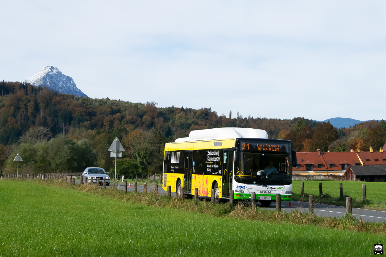 Salzburg, MAN A21 Lion's City NL313 CNG # L1560