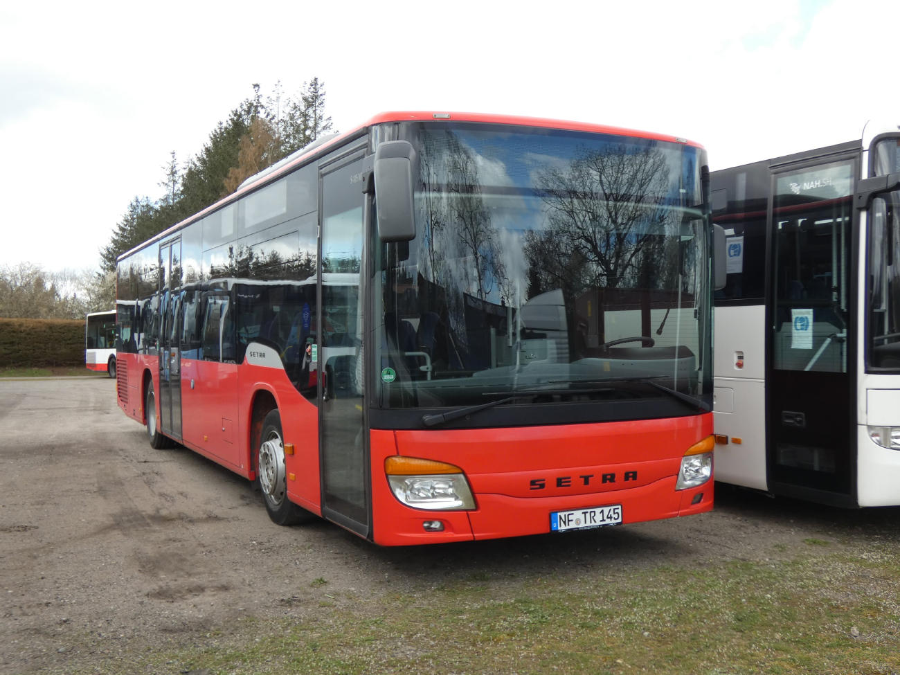 Husum (Nordfriesland), Setra S415NF # NF-TR 145