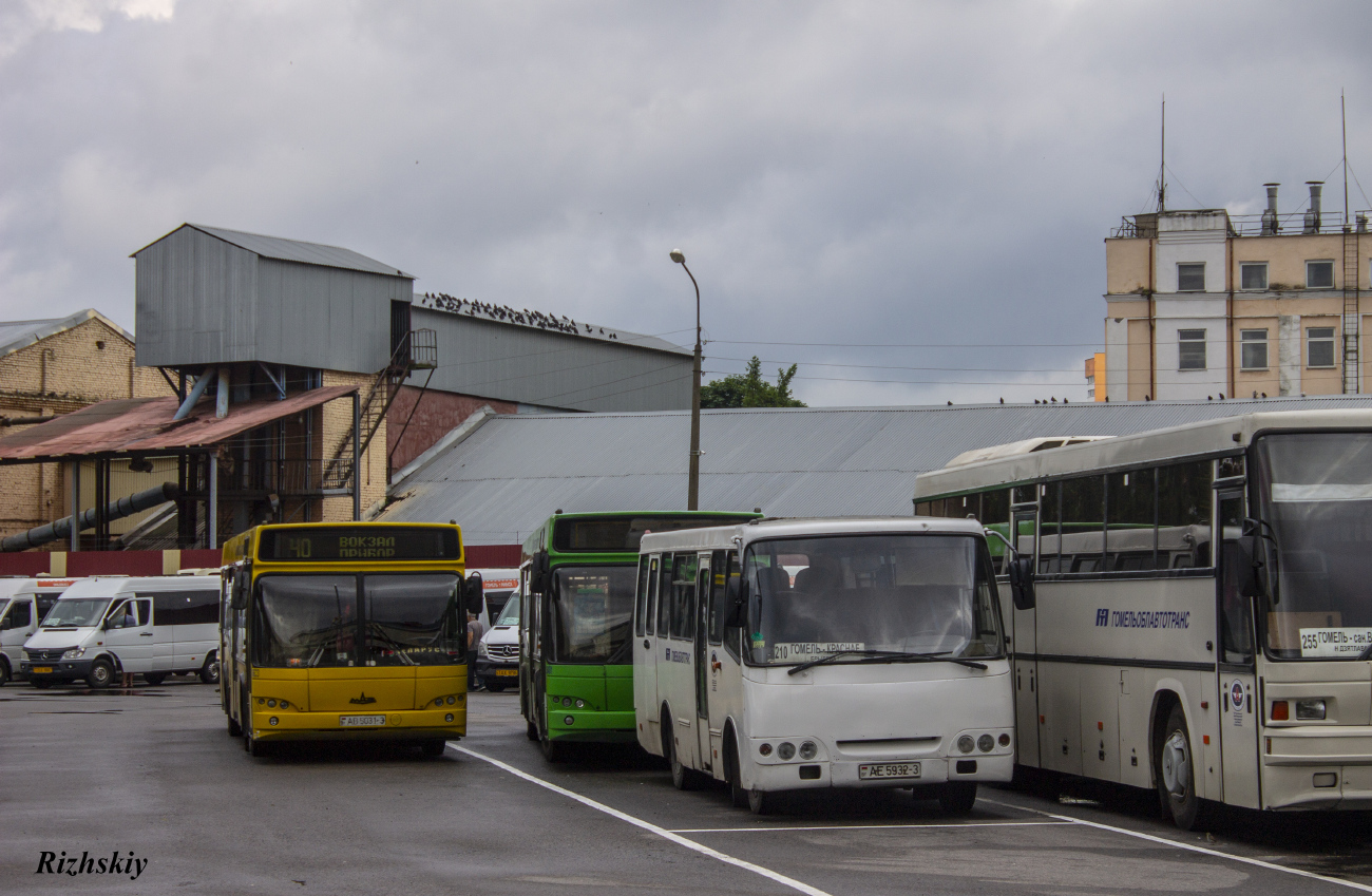 Gomel, Radzimich А0921 # 015385; Gomel, MAZ-103.465 # 036633