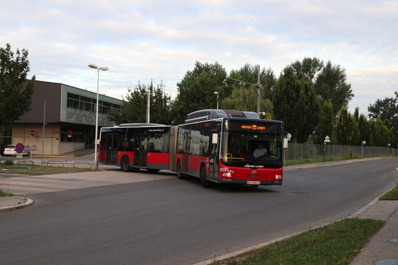 Відень, MAN A23 Lion's City G NG273 LPG № 8094