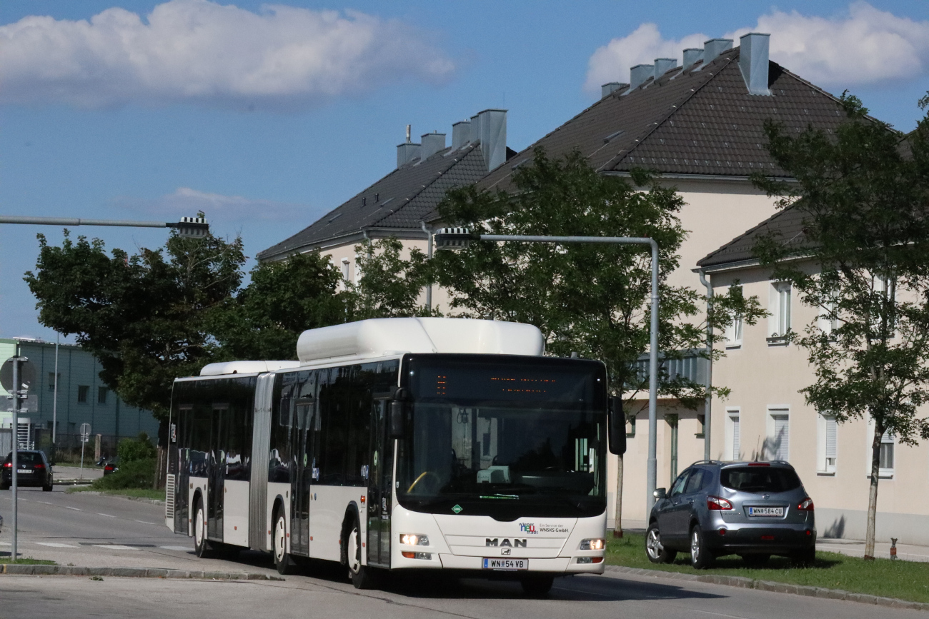 Wiener Neustadt, MAN A23 Lion's City G NG313 CNG # 54