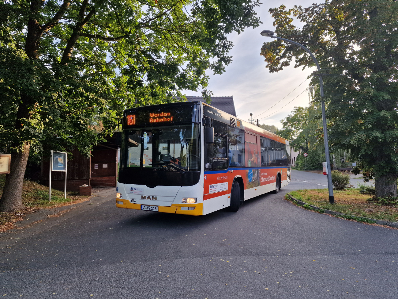 Zwickau, MAN A78 Lion's City LE Ü EL293 № 8204