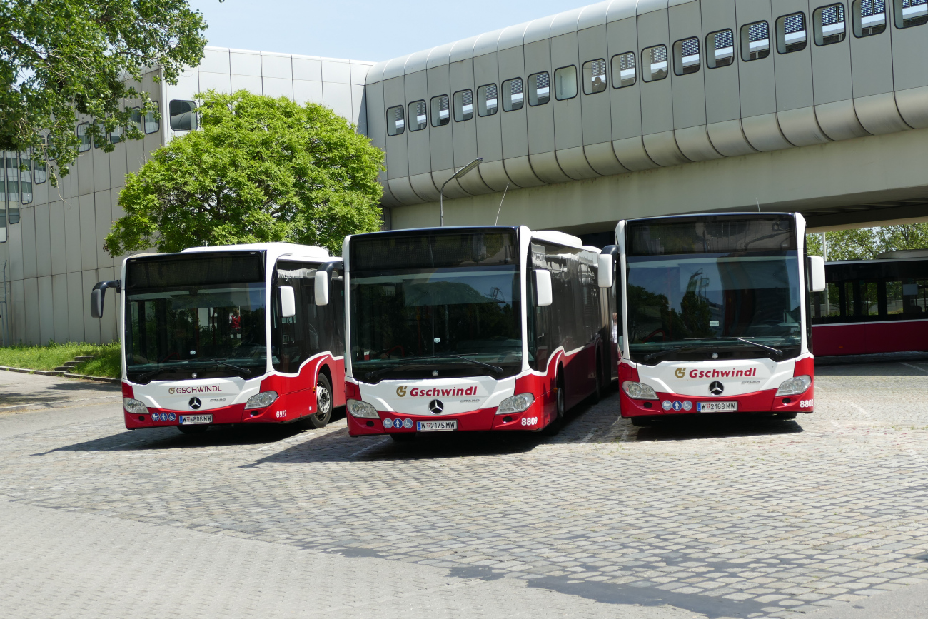 Vienna, Mercedes-Benz Citaro C2 G # 8809; Vienna, Mercedes-Benz Citaro C2 Hybrid # 6922; Vienna, Mercedes-Benz Citaro C2 G # 8802
