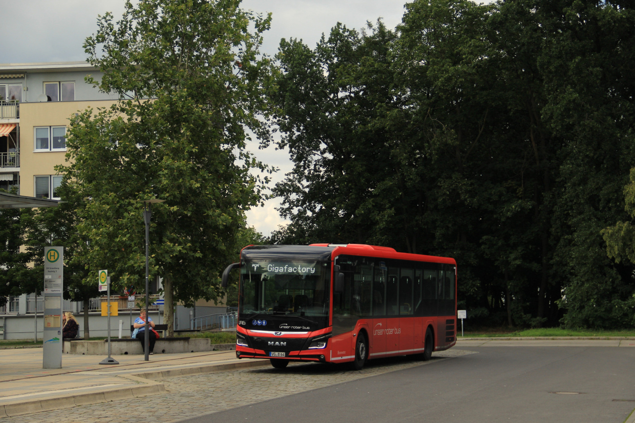 Greifswald, MAN 42C Lion's Intercity Ü LE*** # VG-B 64