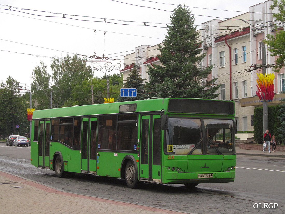 Mogilev, MAZ-103.465 № 2239