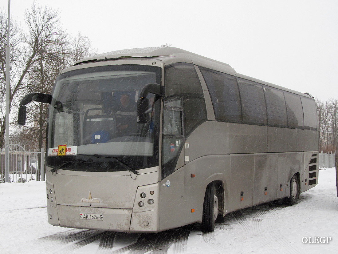 Soligorsk, МАЗ-251.050 No. 1161