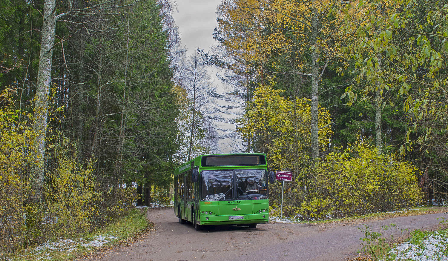 Polotsk, MAZ-103.465 # 020061