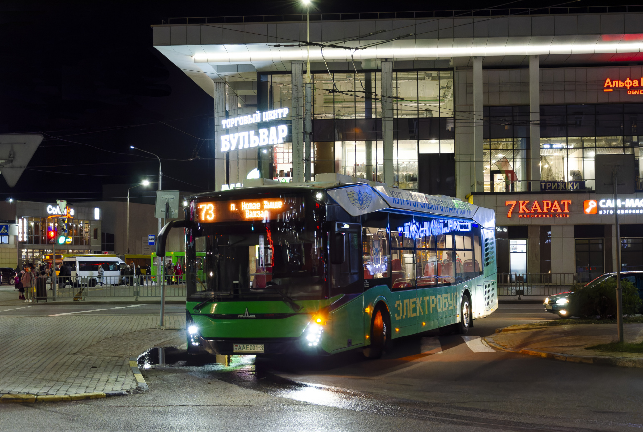 Gomel, MAZ-303.Е10 # 1858