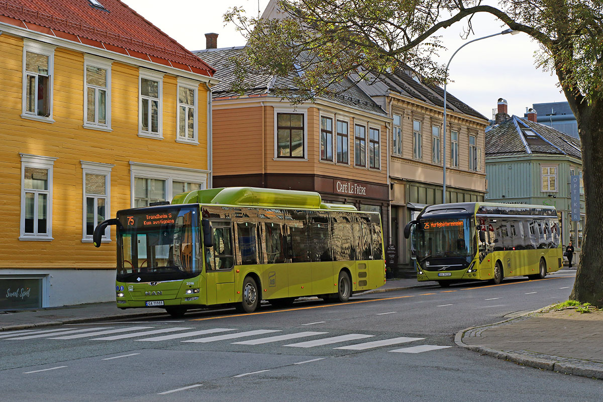 Trondheim, MAN A21 Lion's City NL313 CNG č. 2096; Trondheim, Volvo 7900 Electric č. 8737