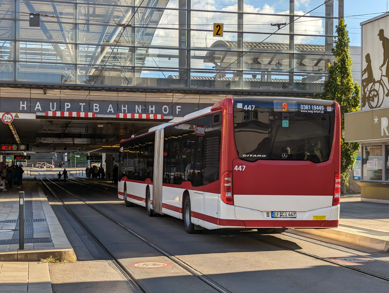 Erfurt, Mercedes-Benz Citaro C2 G nr. 447