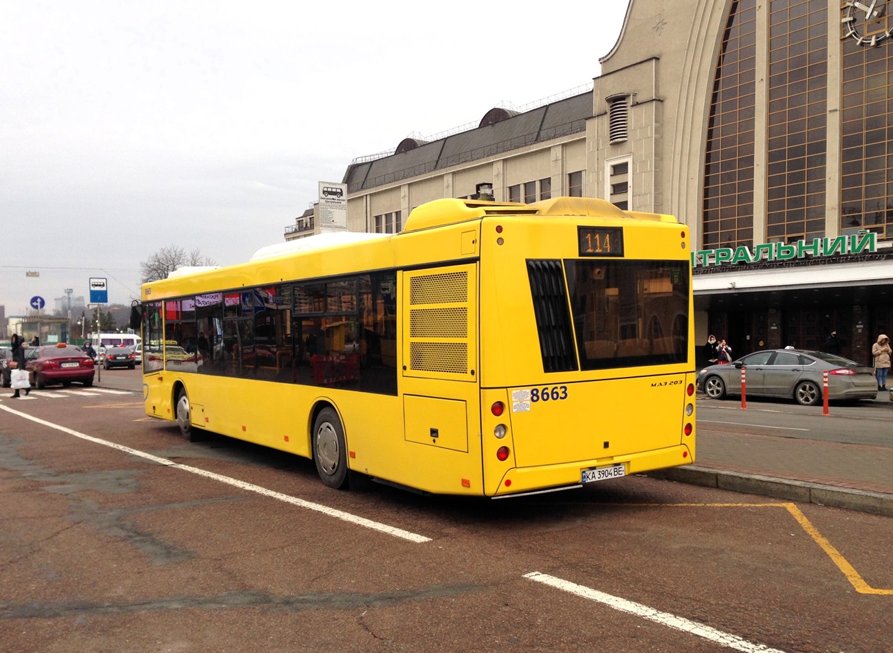 Kyiv, MAZ-203.015 # 8663