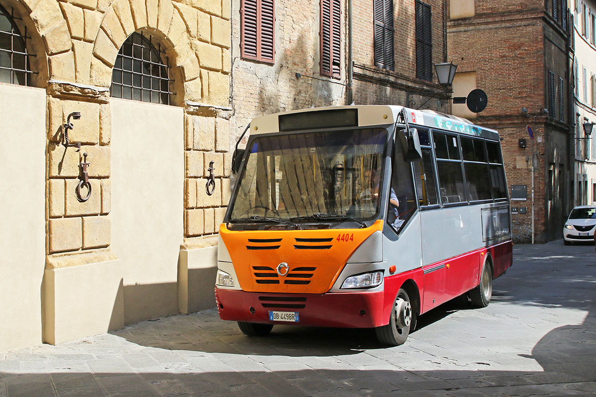 Siena, Minerva # T4404
