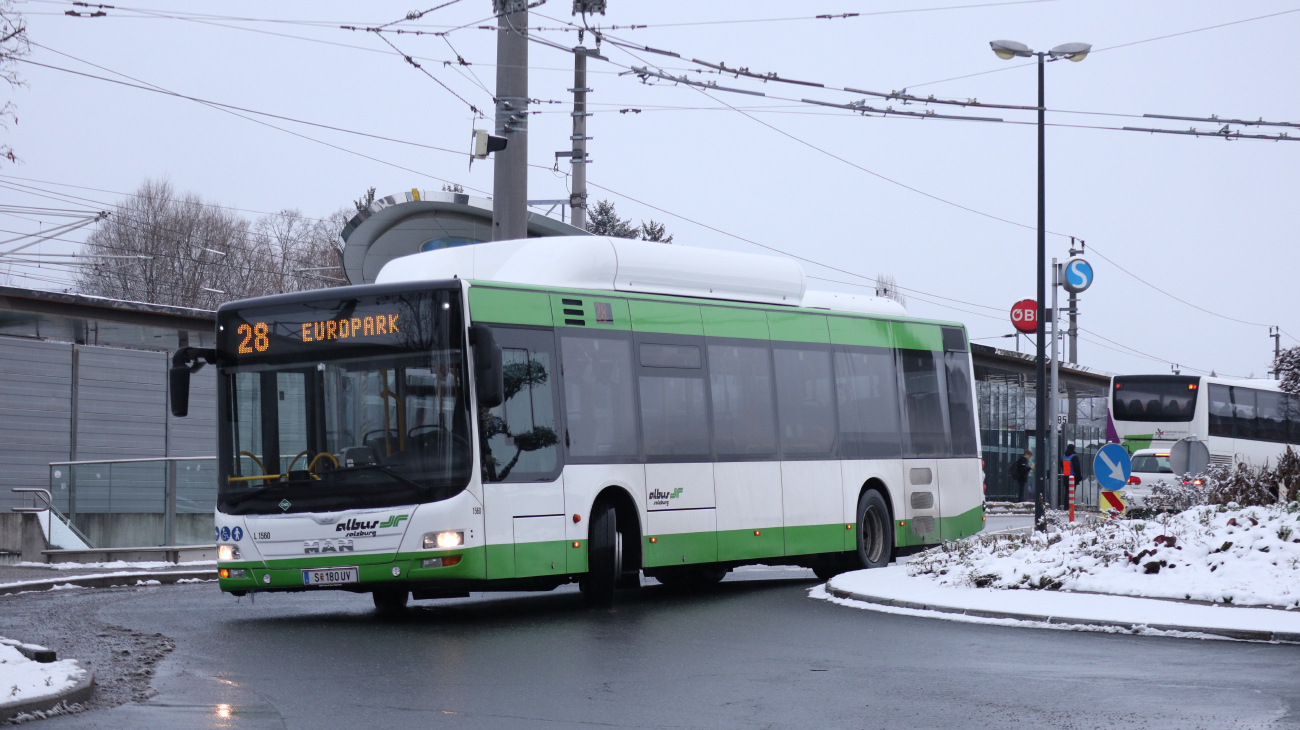 Salzburg, MAN A21 Lion's City NL313 CNG # L1560