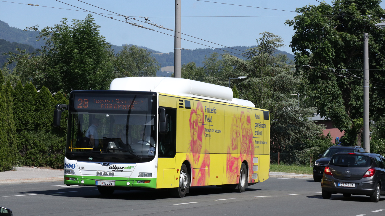 Salzburg, MAN A21 Lion's City NL313 CNG # L1560