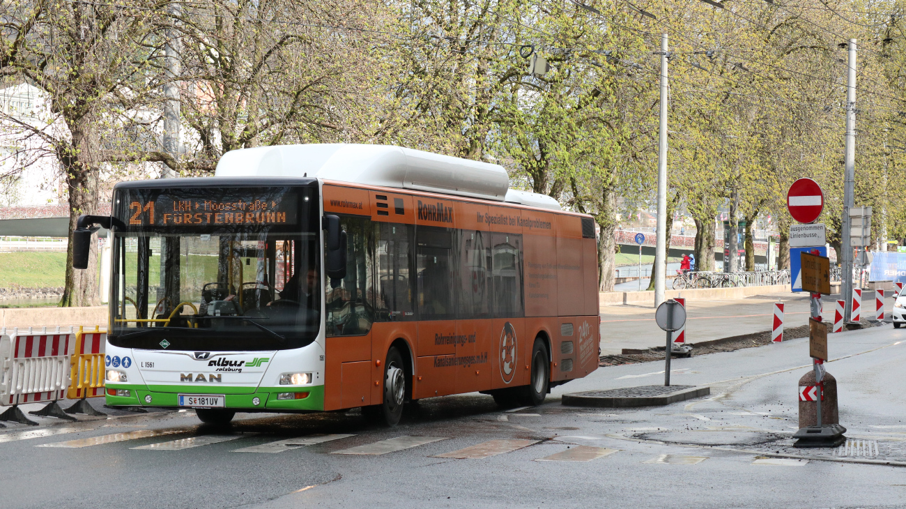 Salzburg, MAN A21 Lion's City NL313 CNG # L1561