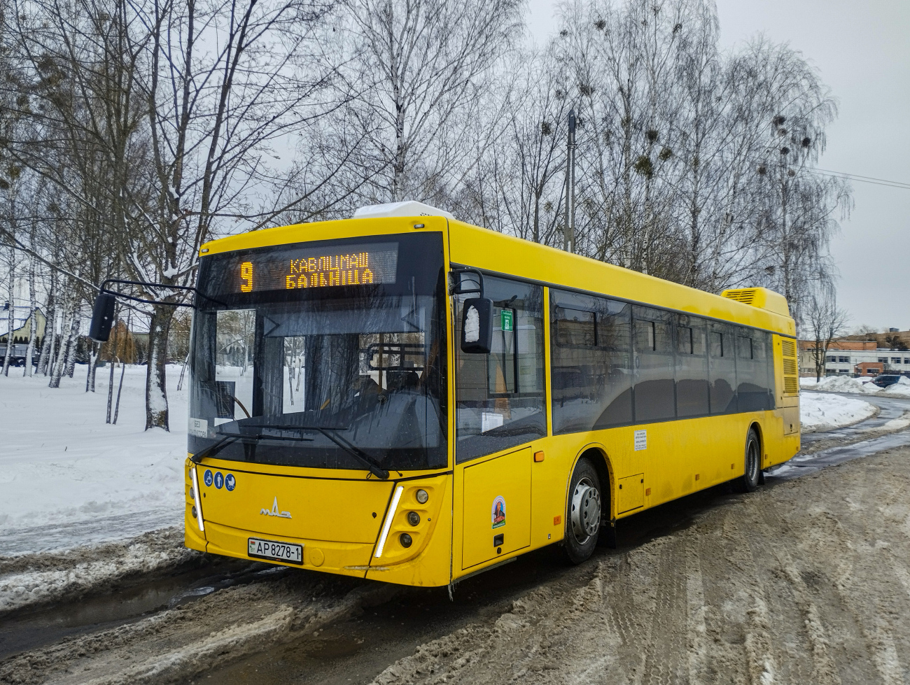 Pinsk, МАЗ-203.047 Nr. 41915