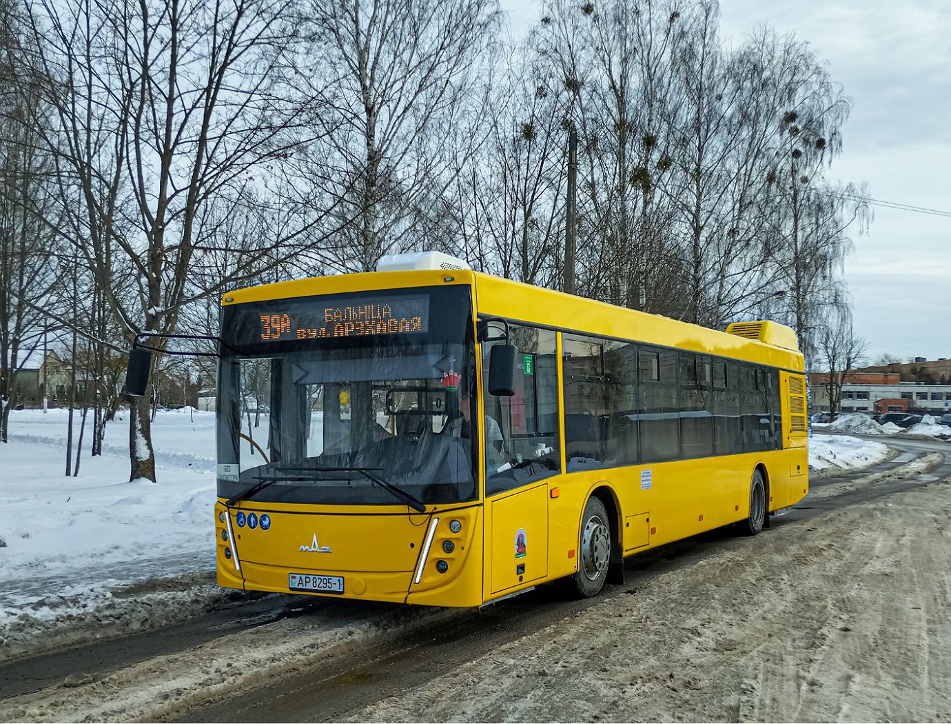 Pinsk, МАЗ-203.047 nr. 41917