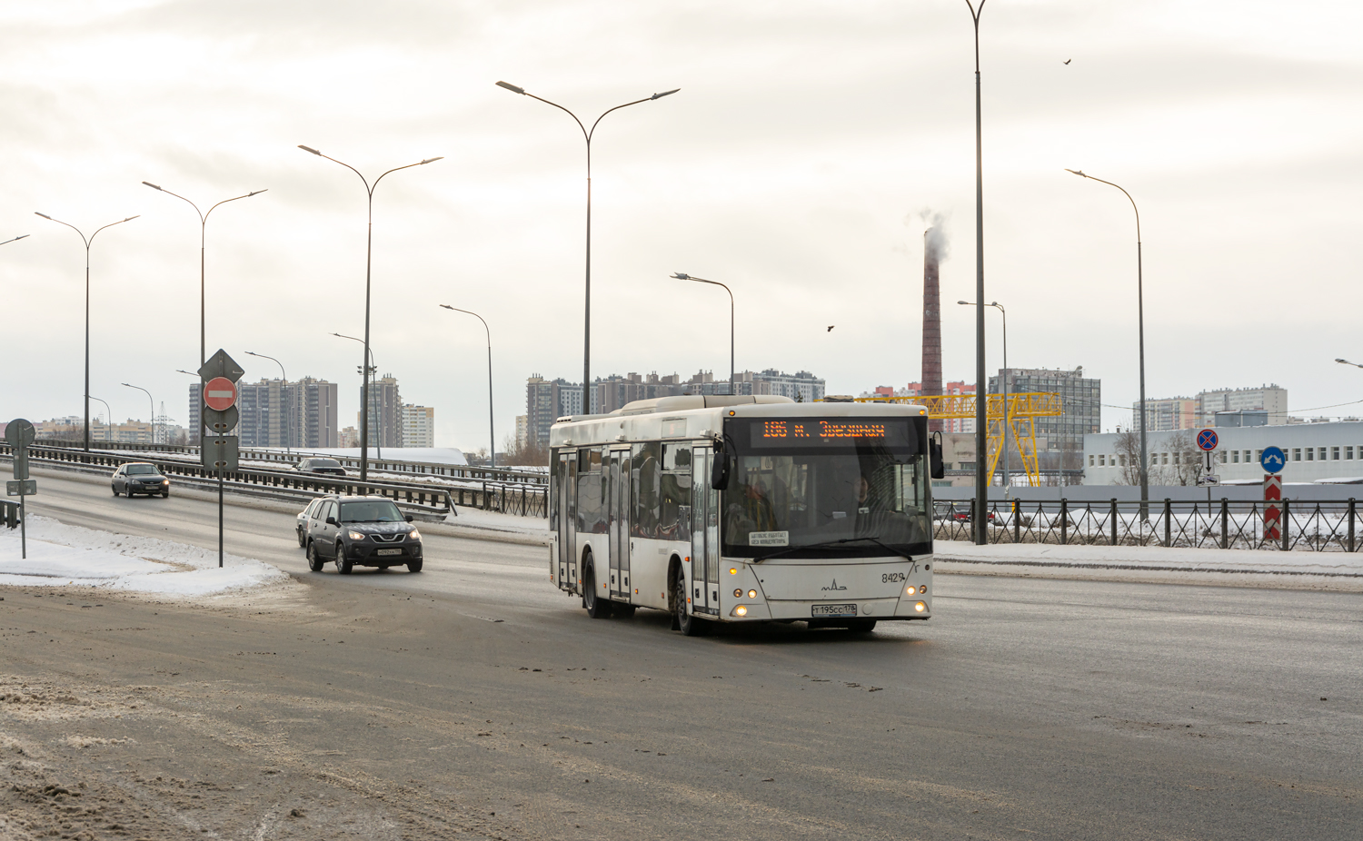 Saint Petersburg, MAZ-203.085 # 8429