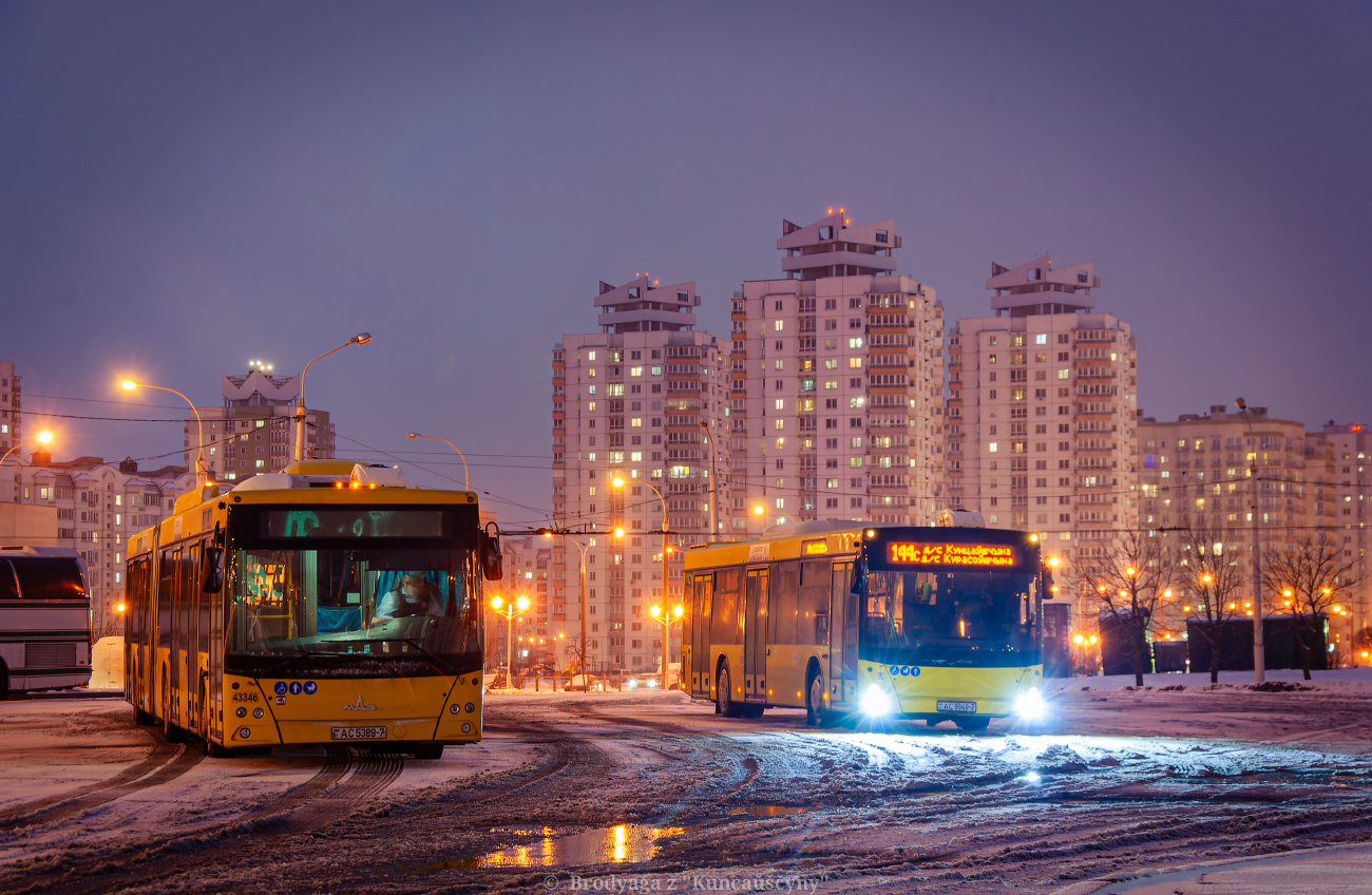 Minsk, MAZ-215.069 № 043346; Minsk, MAZ-203.016 № 014834