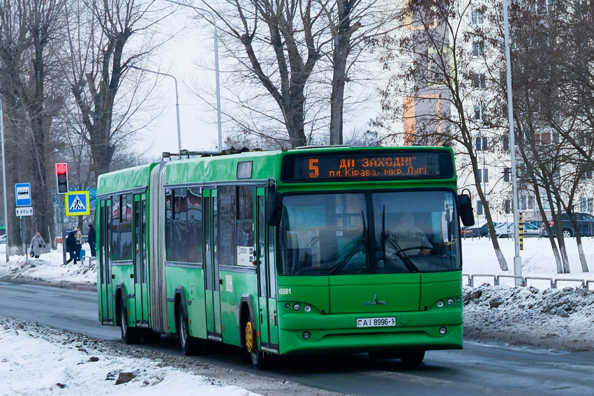 Pinsk, МАЗ-105.465 # 45081