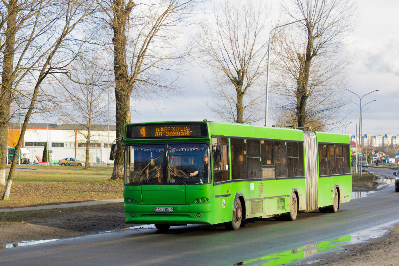 Pinsk, МАЗ-105.465 nr. 45100