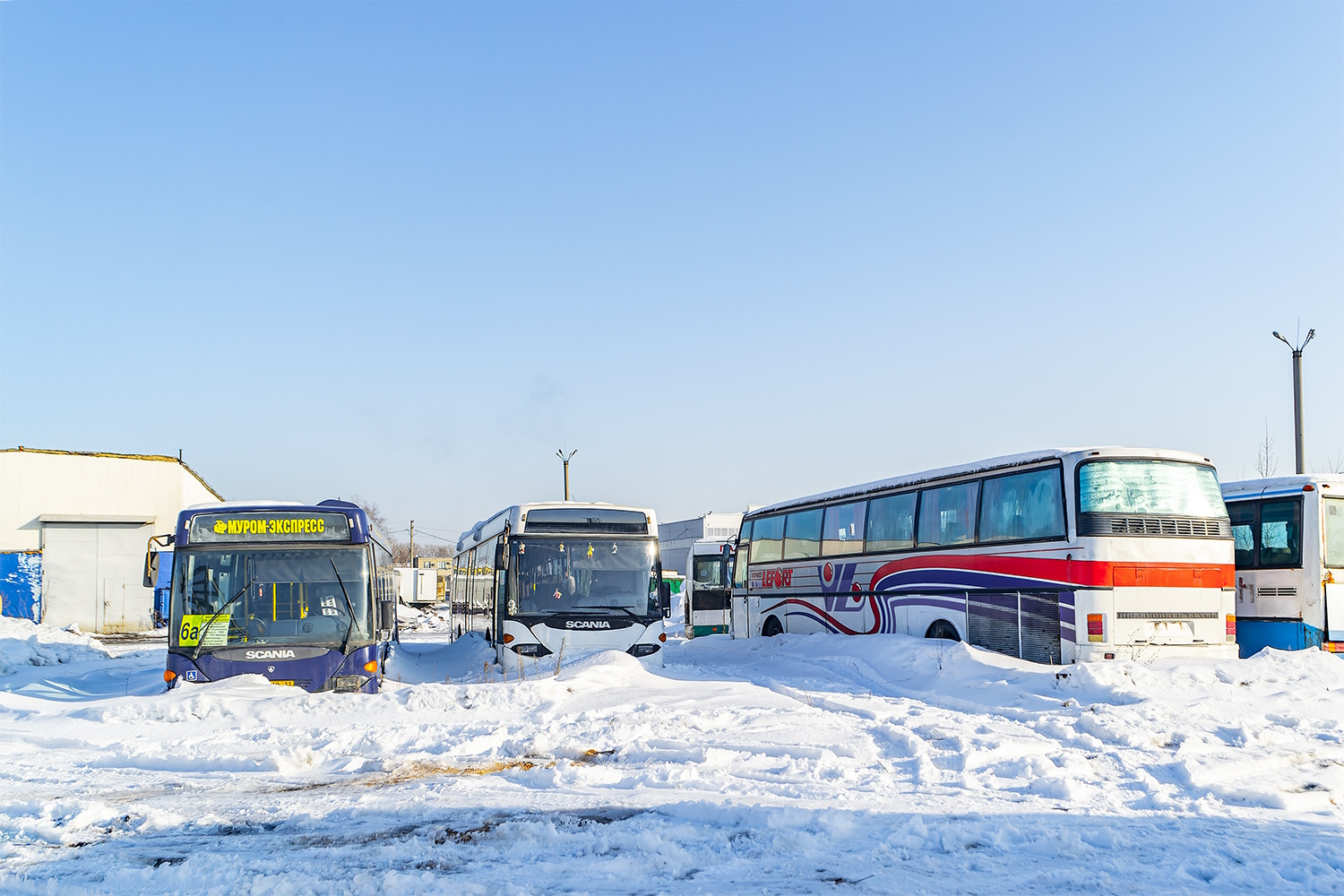 Penza — ATP; Penza — Buses without numbers