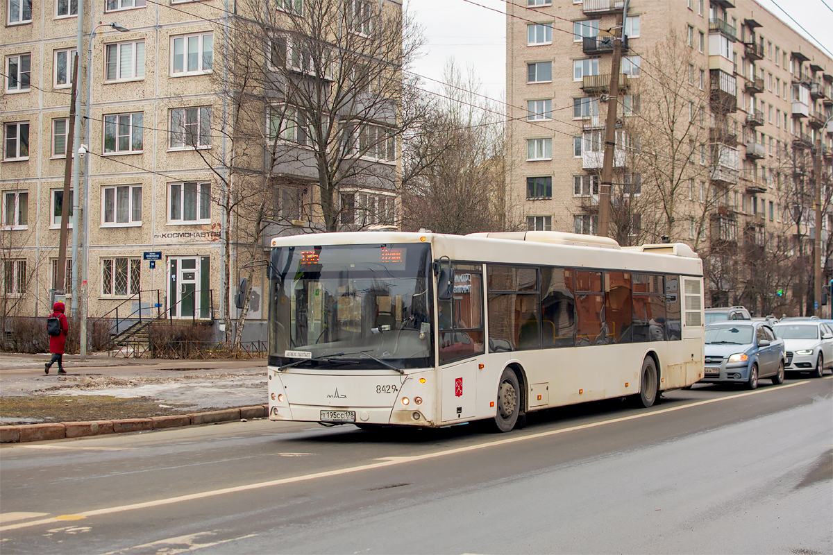 Saint Petersburg, MAZ-203.085 # 8429