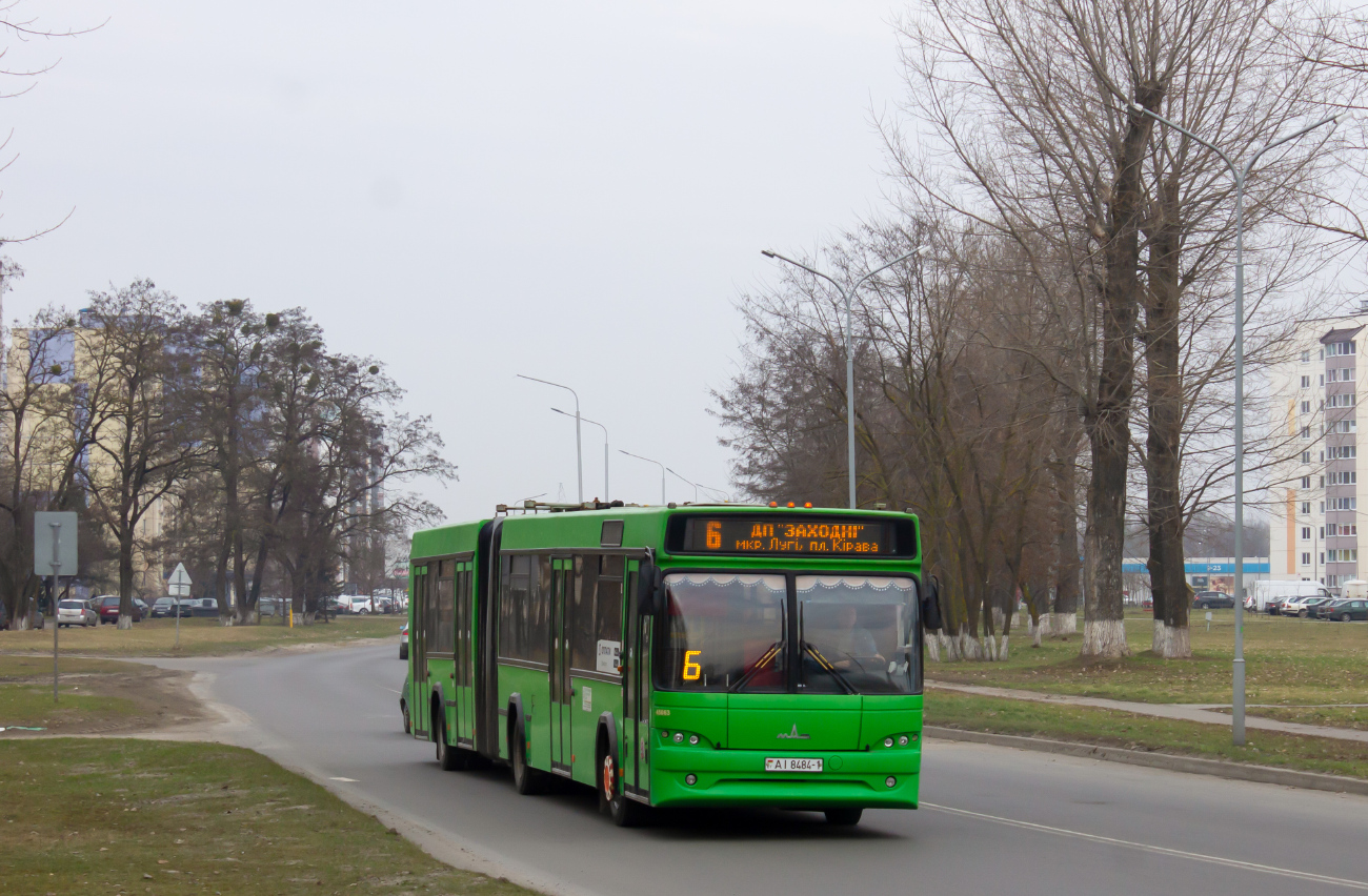 Pinsk, МАЗ-105.465 № 45063