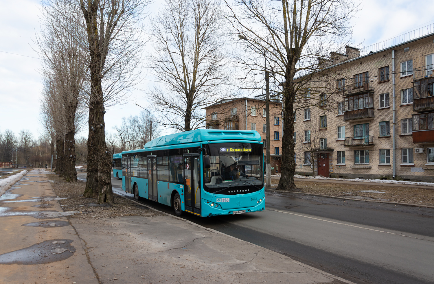 Санкт-Пецярбург, Volgabus-5270.G4 (CNG) № 6531
