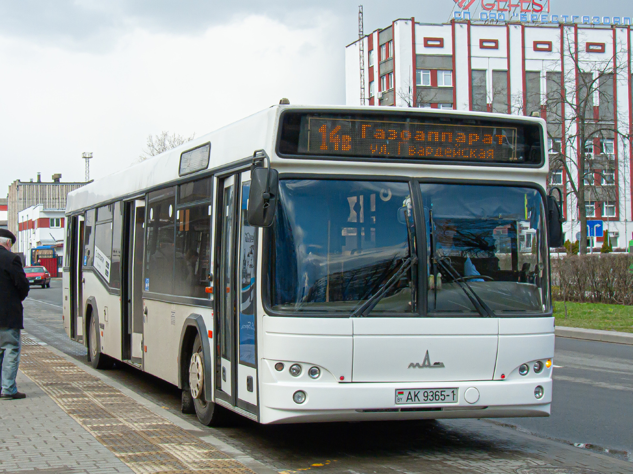 Brest, MAZ-103.485 № 438