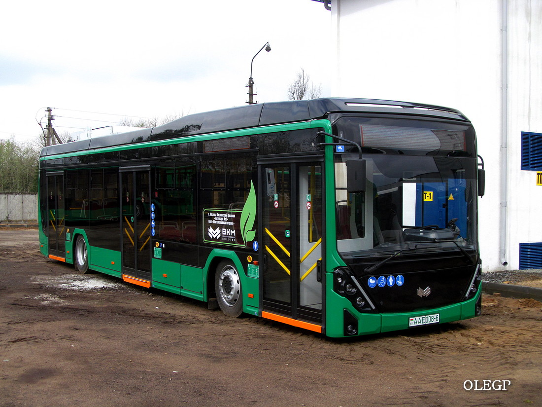 Shklov, BKM E321 "Olgerd" # AA E008-6