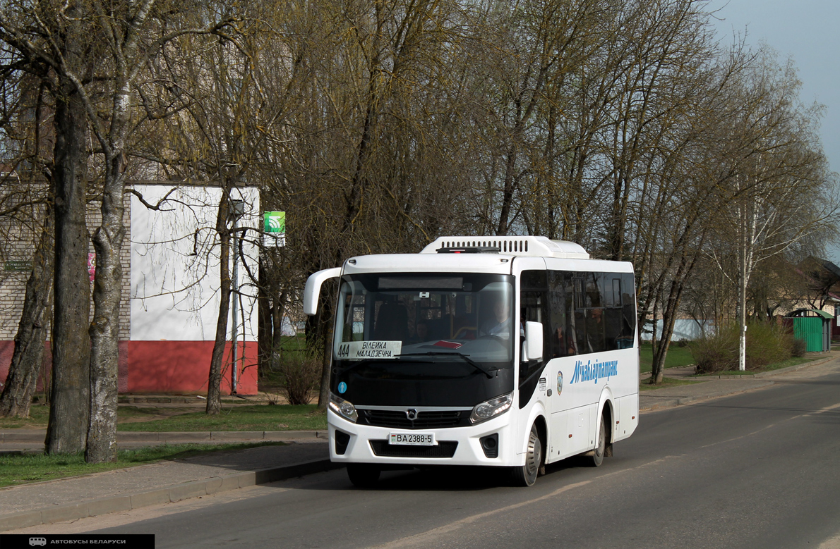 Vileyka, PAZ-320405-04 "Vector Next" (32045D, -5P, -5S) # 10700