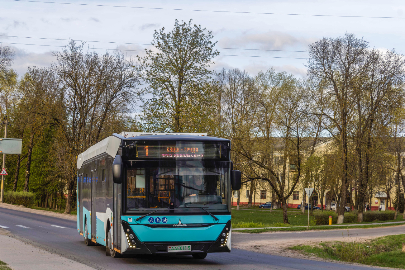 Zhodino, MAZ-303.E22 # 12421