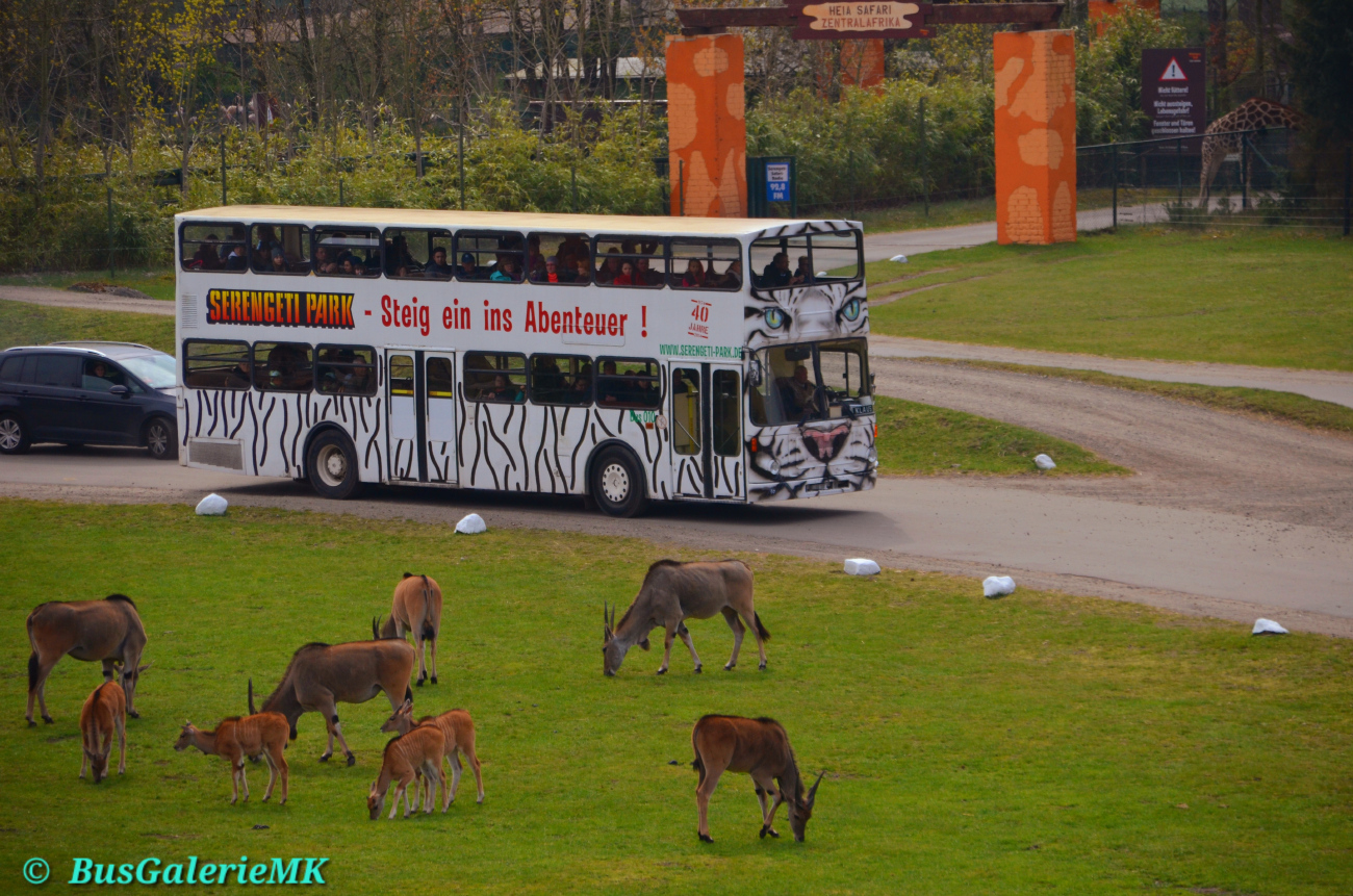 Bad Fallingbostel, MAN 196 SD200 # 010