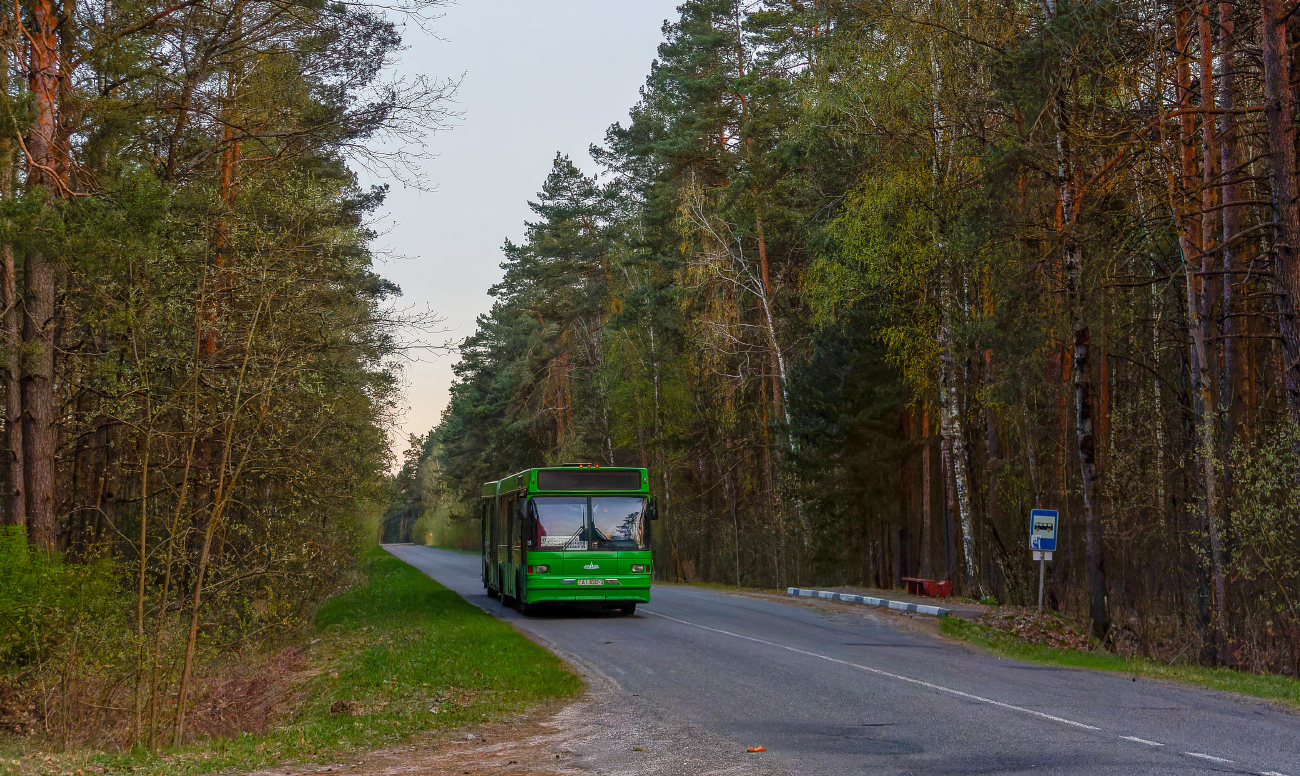 Gomel, MAZ-105.065 №: 036072