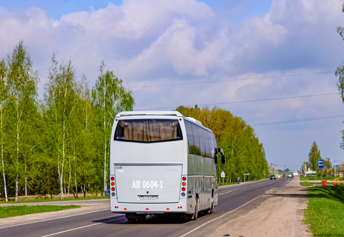 Pinsk, МАЗ-251.062 Nr. 25356