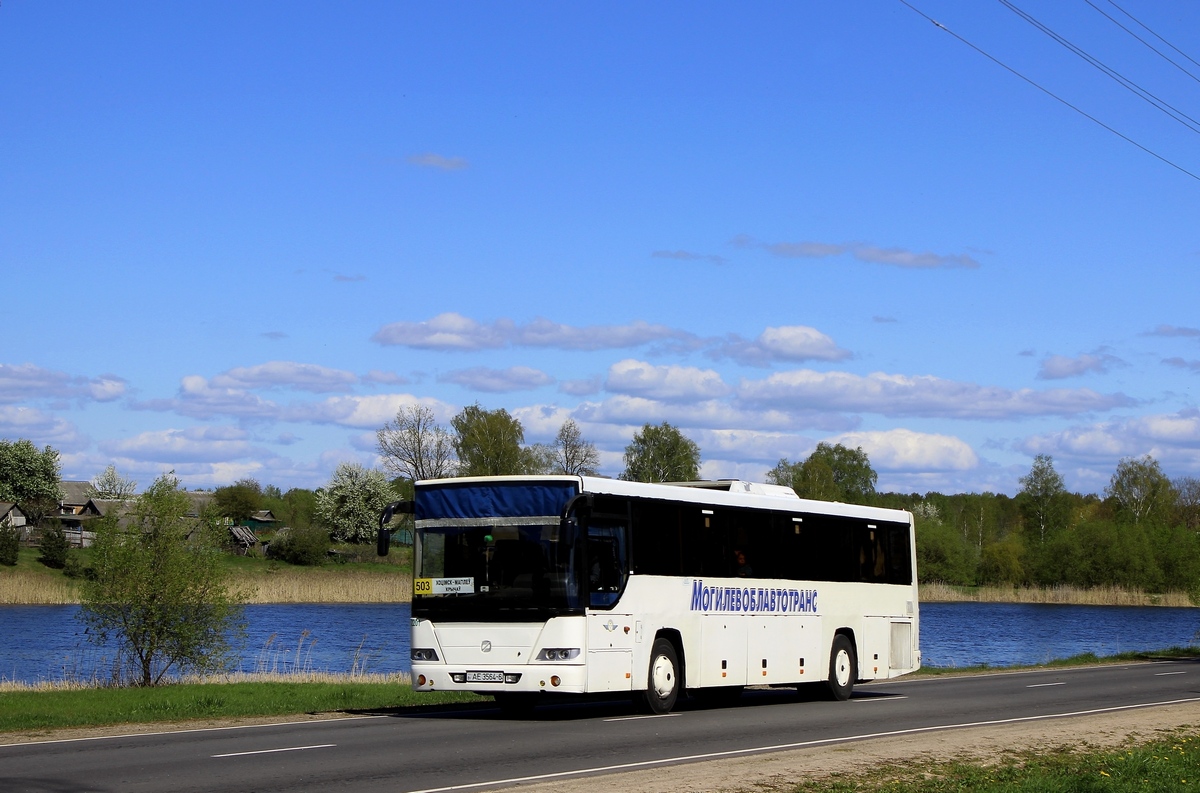 Mogilev, GolAZ-5251.10-10 "Voyage" # 2201