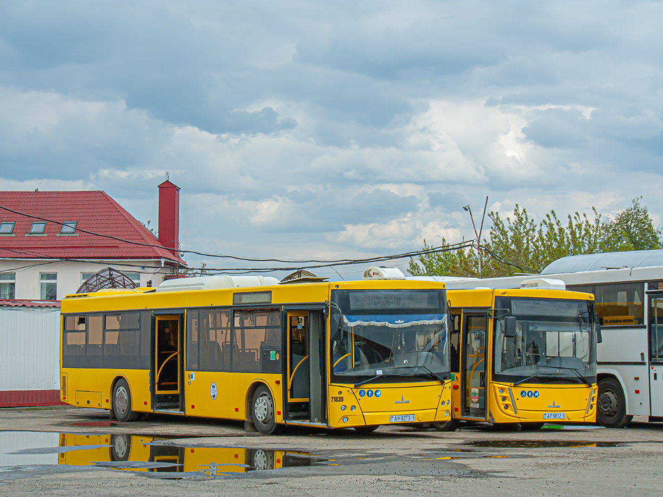 Baranovichi, MAZ-203.116 # 21830